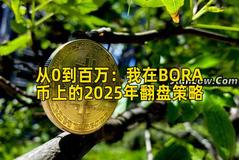 从0到百万：我在BORA币上的2025年翻盘策略