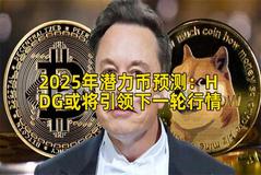 2025年潜力币预测：HDG或将引领下一轮行情