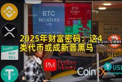 2025年财富密码：这4类代币或成新晋黑马