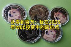 从零到百万：我在2025年WEC投资中的转折点