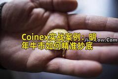 Coinex实战案例：明年牛市如何精准抄底