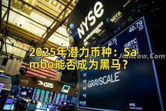 2025年潜力币种：Sambo能否成为黑马？