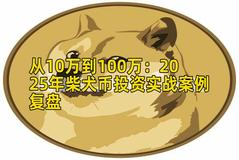 从10万到100万：2025年柴犬币投资实战案例复盘
