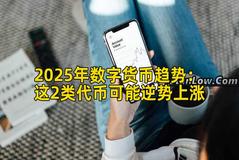 2025年数字货币趋势：这2类代币可能逆势上涨