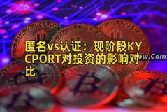 匿名vs认证：现阶段KYCPORT对投资的影响对比