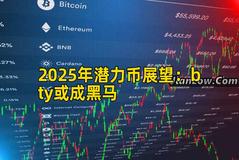 2025年潜力币展望：bty或成黑马