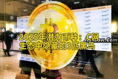 2025年潜力币种：C网生态中隐藏的3匹黑马