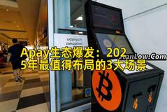 Apay生态爆发：2025年最值得布局的3大场景