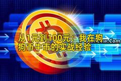 从1元到100元：我在狗狗币牛市的实战经验