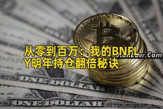 从零到百万：我的BNFLY明年持仓翻倍秘诀