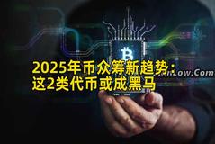 2025年币众筹新趋势：这2类代币或成黑马