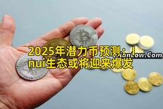 2025年潜力币预测：Inui生态或将迎来爆发