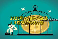 2025年WSB散户战法：3招捕捉极端行情