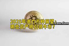 2025年潜力币种展望：哪些资产将引领牛市？