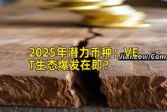 2025年潜力币种：VET生态爆发在即？