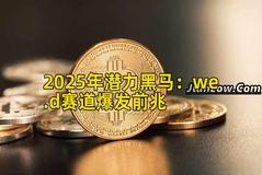 2025年潜力黑马：we.d赛道爆发前兆