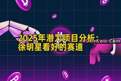 2025年潜力项目分析：徐明星看好的赛道