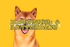 2025年百倍币候选：小队代币生态潜力全解析