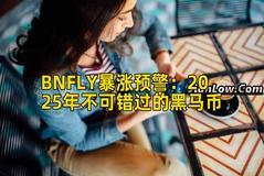 BNFLY暴涨预警：2025年不可错过的黑马币