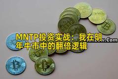 MNTP投资实战：我在明年牛市中的翻倍逻辑