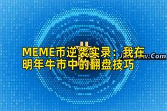 MEME币逆袭实录：我在明年牛市中的翻盘技巧