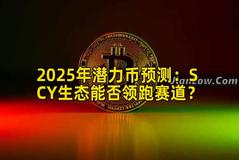 2025年潜力币预测：SCY生态能否领跑赛道？