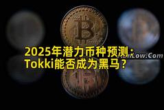 2025年潜力币种预测：Tokki能否成为黑马？