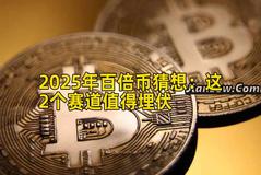 2025年百倍币猜想：这2个赛道值得埋伏