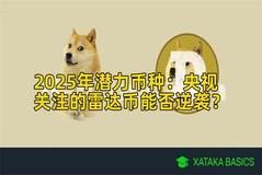 2025年潜力币种：央视关注的雷达币能否逆袭？