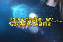 2025年牛市前瞻：WVG或成黑马的关键因素