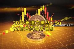 2025年潜力黑马：Supa币生态爆发在即