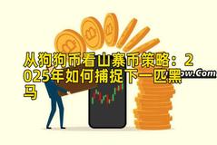 从狗狗币看山寨币策略：2025年如何捕捉下一匹黑马