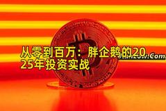 从零到百万：胖企鹅的2025年投资实战