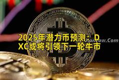 2025年潜力币预测：DXC或将引领下一轮牛市