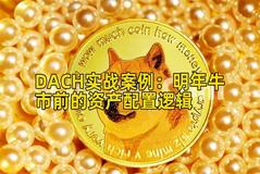 DACH实战案例：明年牛市前的资产配置逻辑