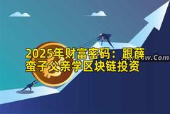2025年财富密码：跟薛蛮子父亲学区块链投资