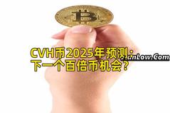 CVH币2025年预测：下一个百倍币机会？