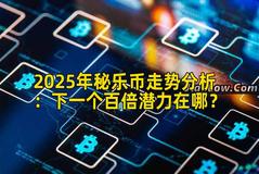 2025年秘乐币走势分析：下一个百倍潜力在哪？
