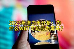2025年潜力币分析：为什么WGT可能成为黑马？
