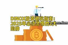 DINOX投资避坑指南：2025年必须警惕的2大陷阱
