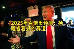2025年百倍币预测：杨曜睿看好的赛道