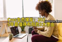 Cros生态爆发：2025年最值得布局的3大理由