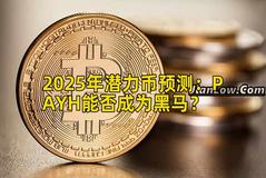 2025年潜力币预测：PAYH能否成为黑马？