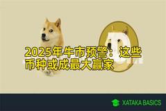 2025年牛市预警：这些币种或成最大赢家
