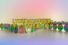 LYX币2025年预测：下一个百倍潜力股？