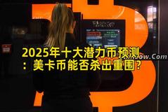 2025年十大潜力币预测：美卡币能否杀出重围？