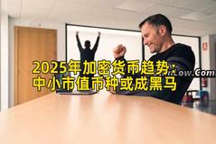2025年加密货币趋势：中小市值币种或成黑马