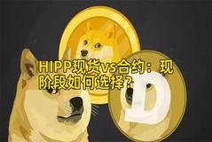 HIPP现货vs合约：现阶段如何选择？