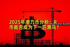 2025年潜力币分析：R币能否成为下一匹黑马？