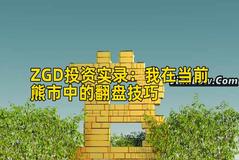 ZGD投资实录：我在当前熊市中的翻盘技巧